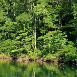 Meet your Posher, Connie